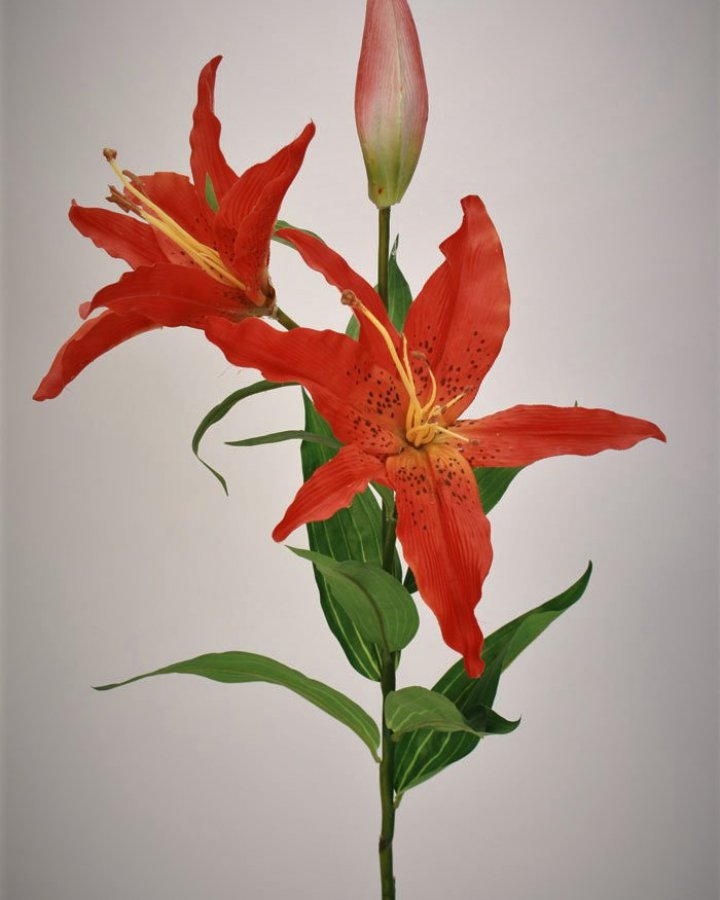 Лилии "Ориентал Дженоа" для интерьера