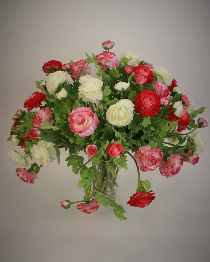 Лютик персидский (ранункулюс) для интерьерного декора