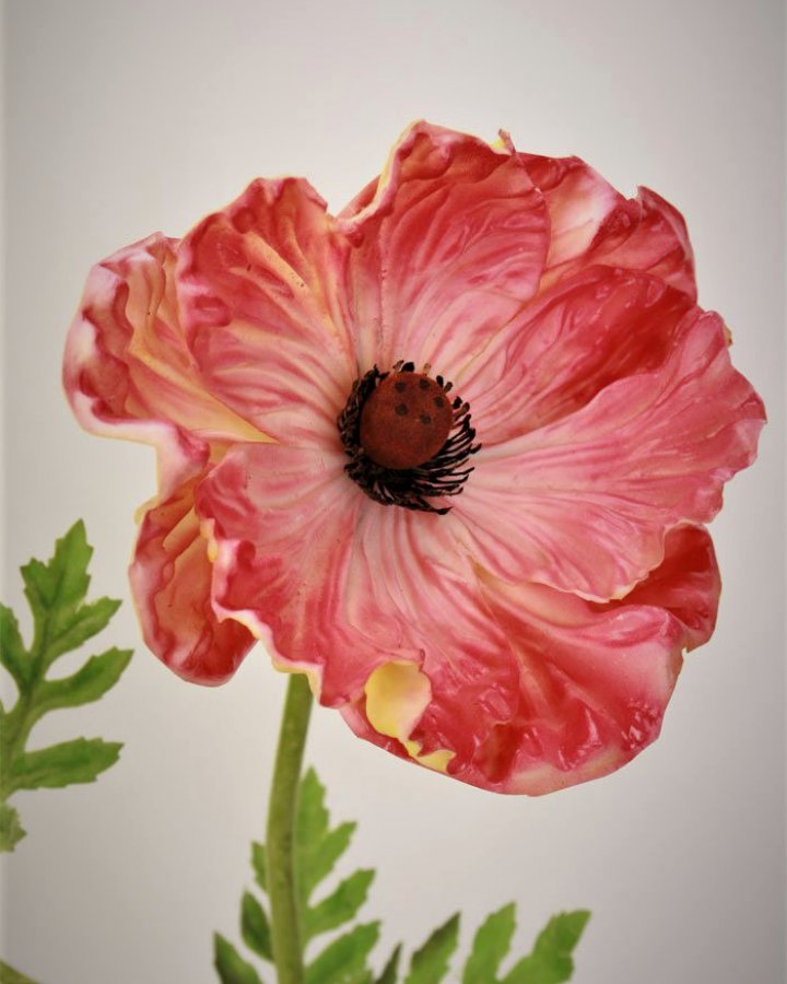 Мак восточный "Медальон" для интерьерного декора