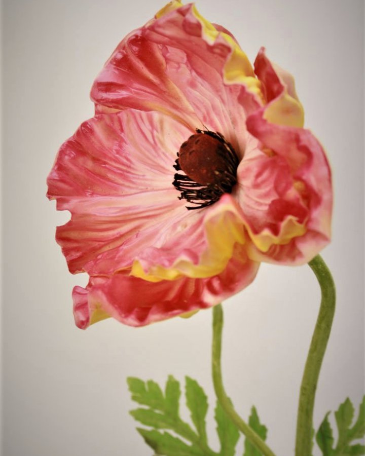 Мак восточный "Медальон" для интерьерного декора