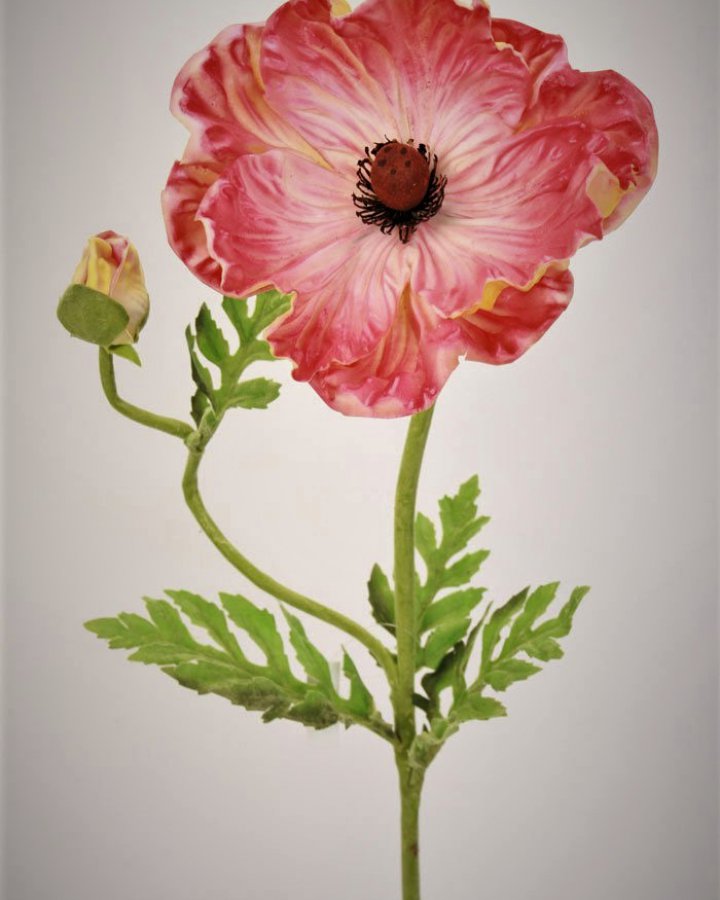 Мак восточный "Медальон" для интерьерного декора