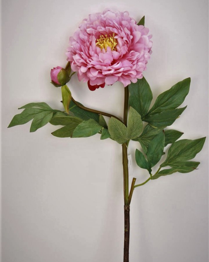 Пион "Биг Бен" для декора