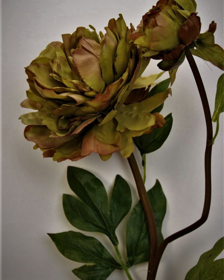 Пион "Роялс" для декора интерьера в стиле ретро