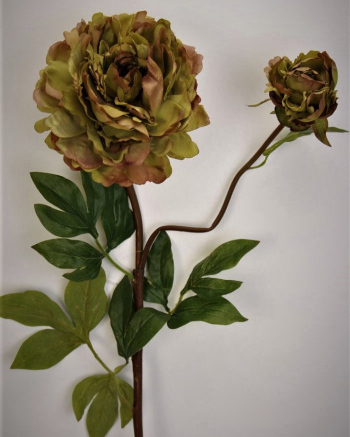 Пион "Роялс" для декора интерьера в стиле ретро