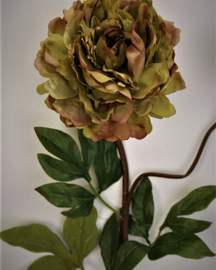 Пион "Роялс" для декора интерьера в стиле ретро