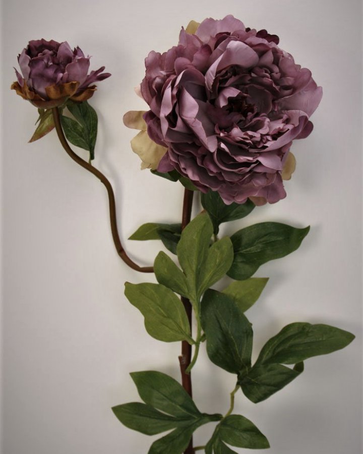 Пион "Роялс" для декора интерьера в стиле ретро