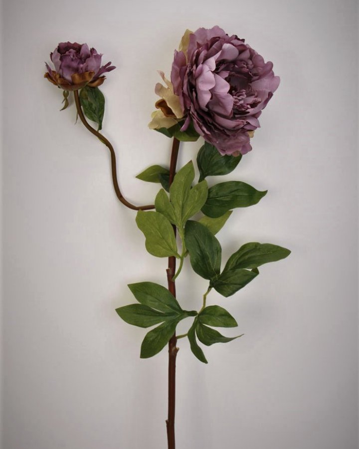 Пион "Роялс" для декора интерьера в стиле ретро