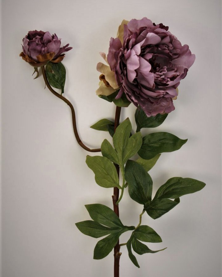 Пион "Роялс" для декора интерьера в стиле ретро