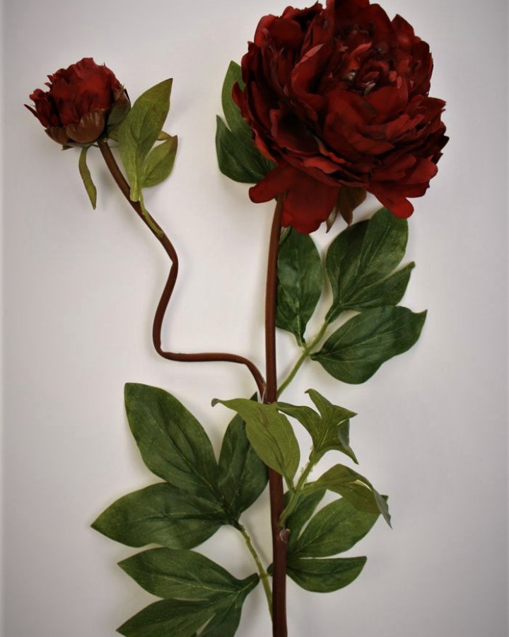 Пион "Роялс" для декора в стиле ретро