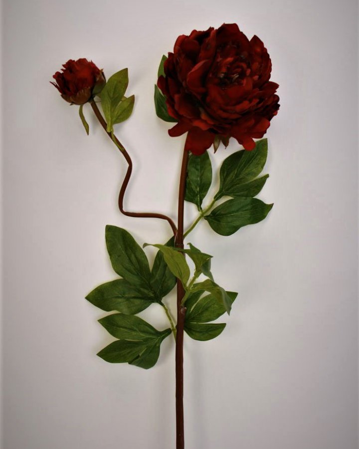 Пион "Роялс" для декора в стиле ретро