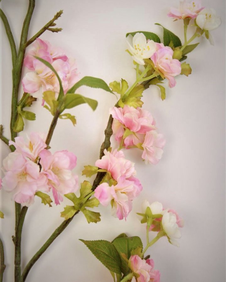 Сакура "Кванзан" для декора интерьера