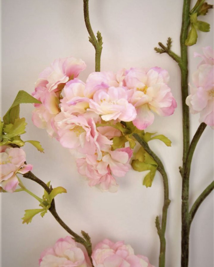 Сакура "Кванзан" для декора интерьера