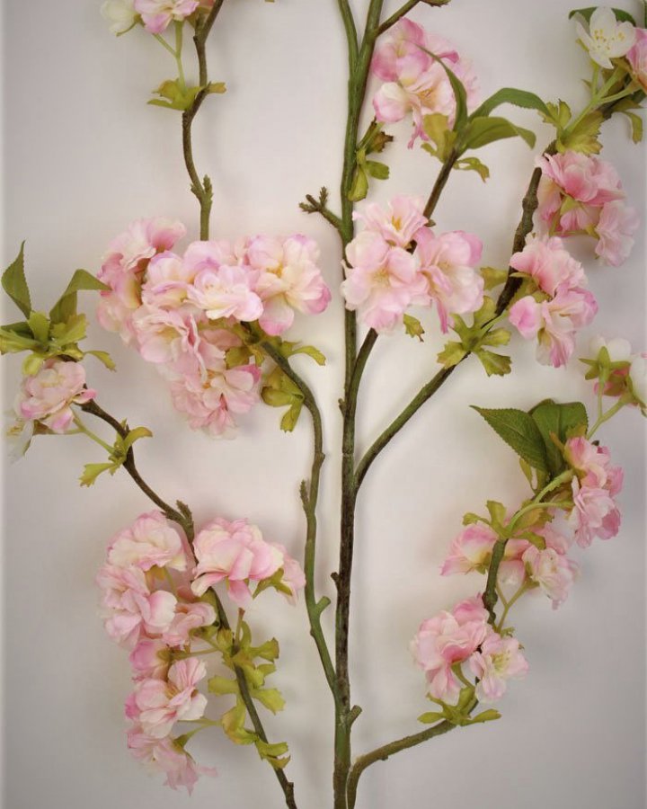 Сакура "Кванзан" для декора интерьера