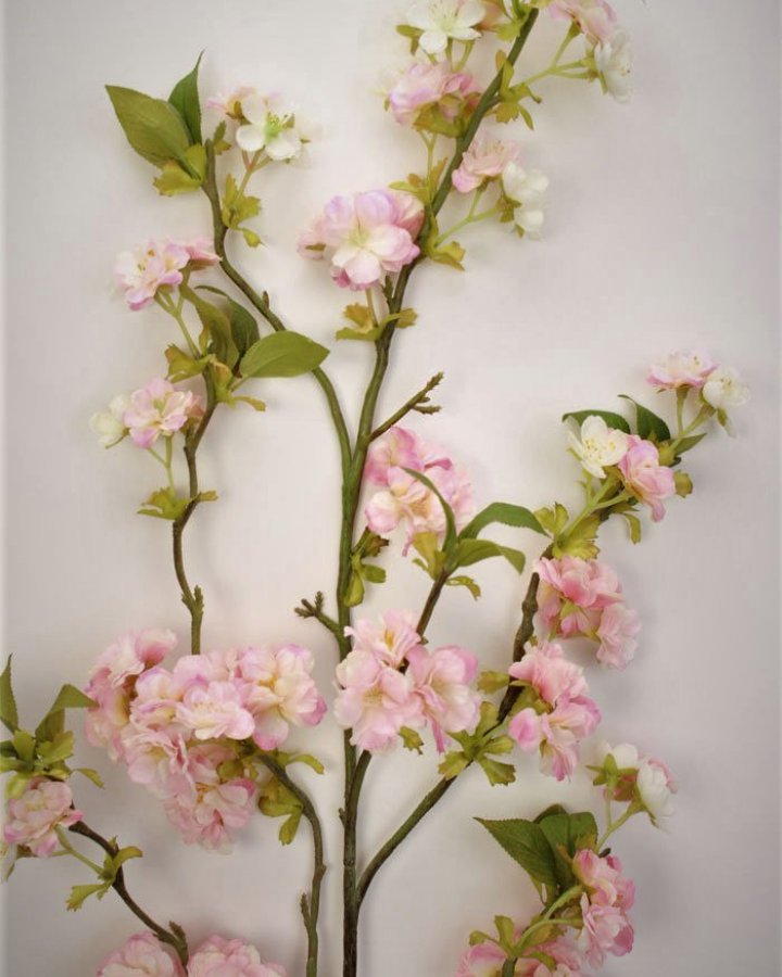 Сакура "Кванзан" для декора интерьера