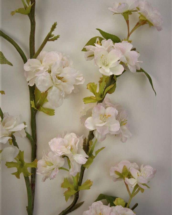 Сакура "Кванзан" для интерьерного декора