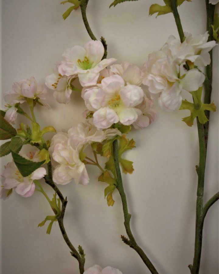 Сакура "Кванзан" для интерьерного декора