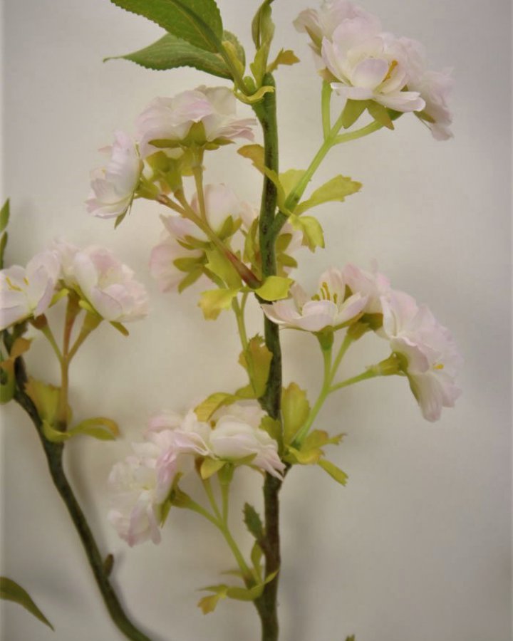 Сакура "Кванзан" для интерьерного декора