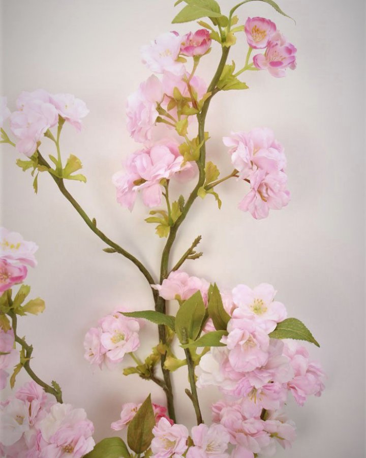 Сакура "Кванзан" для декора интерьера