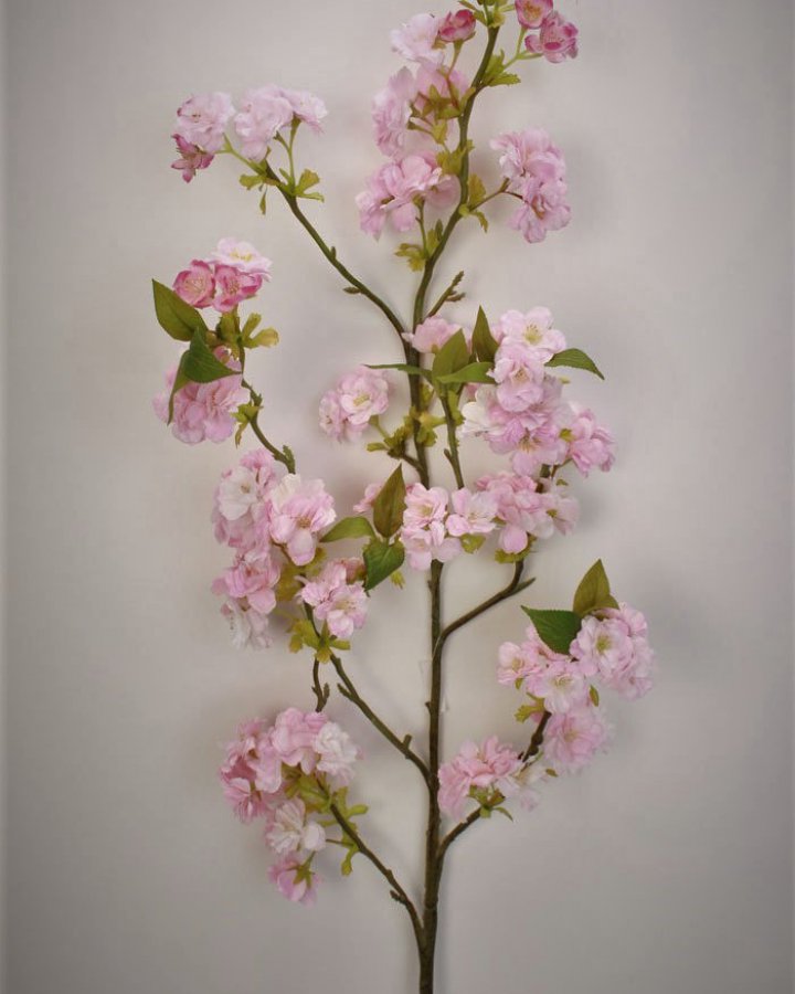 Сакура "Кванзан" для декора интерьера