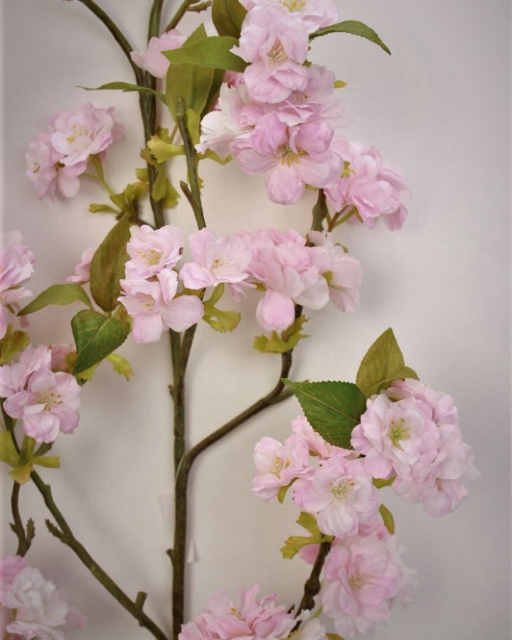 Сакура "Кванзан" для декора интерьера