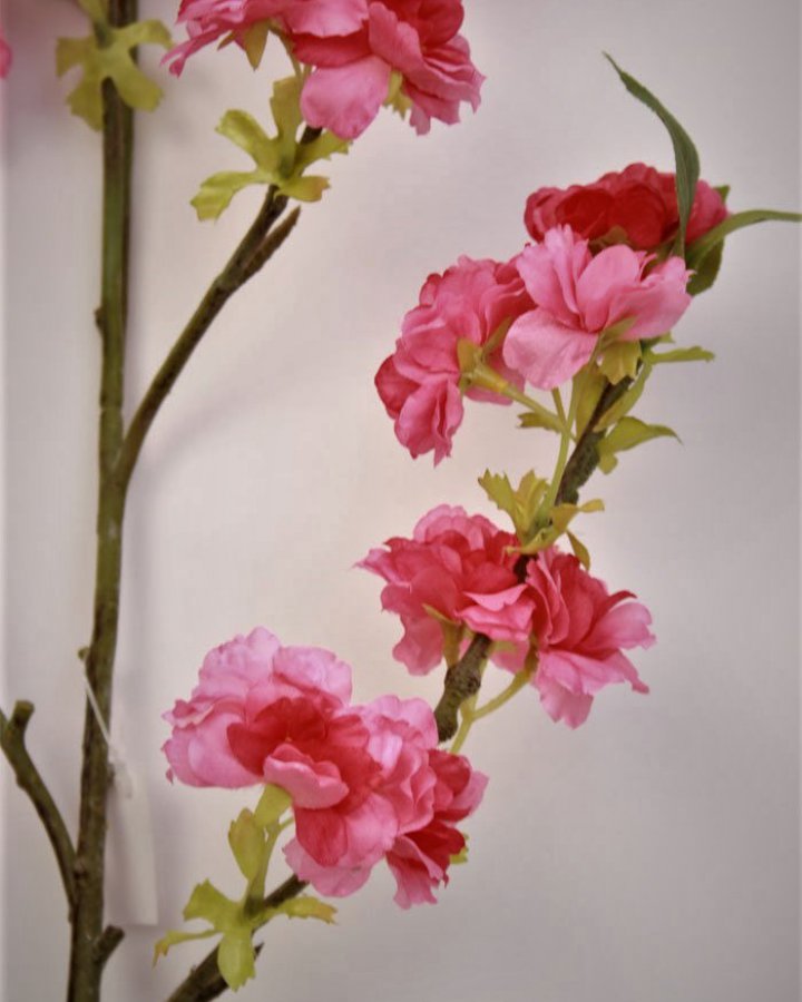 Сакура "Кванзан" для интерьера