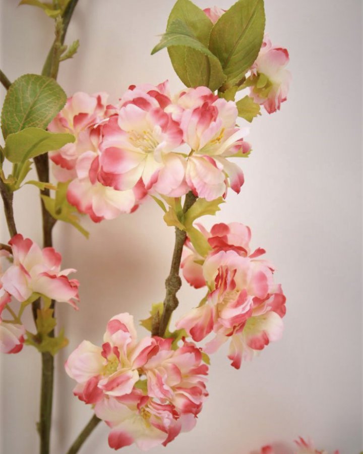 Сакура "Кванзан" для декора интерьера