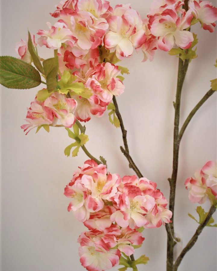 Сакура "Кванзан" для декора интерьера