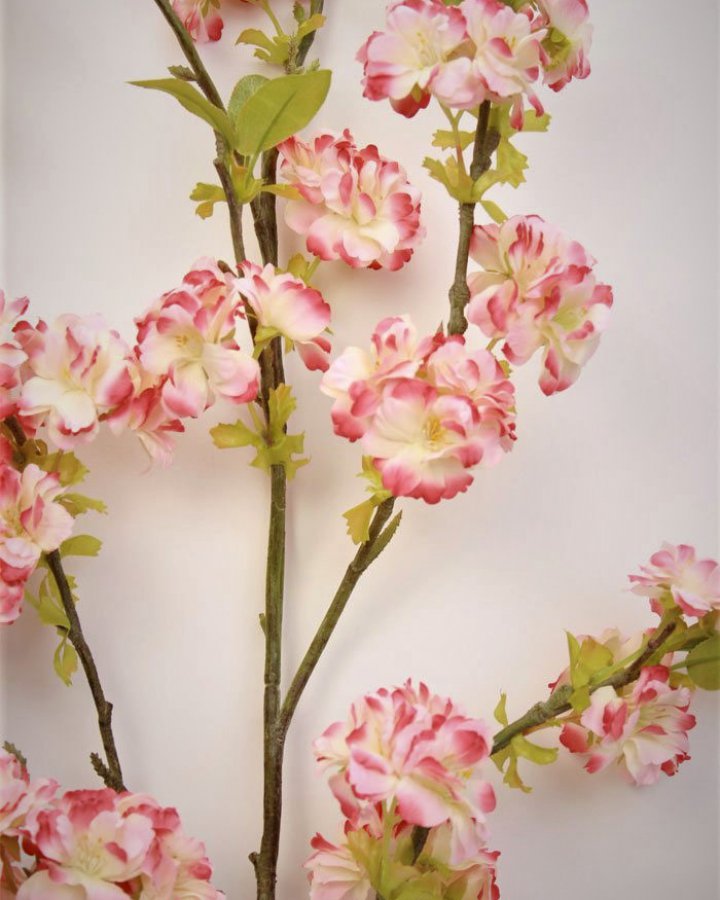 Сакура "Кванзан" для декора интерьера