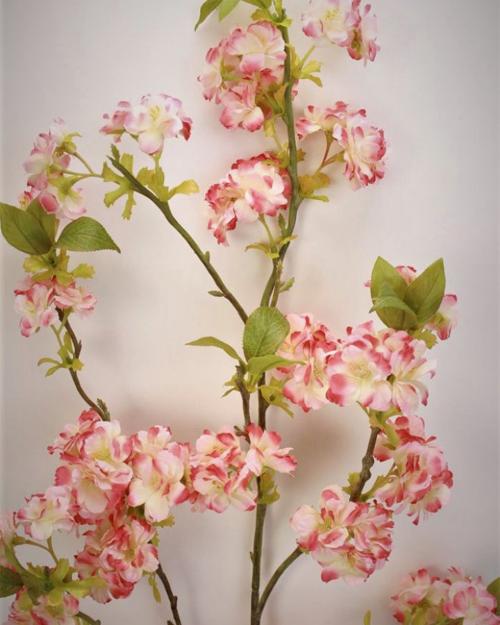 Сакура "Кванзан" для декора интерьера