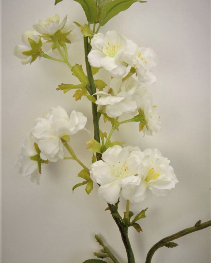 Сакура "Кванзан" для интерьерного декора