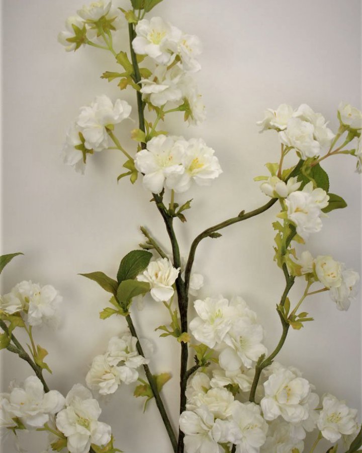 Сакура "Кванзан" для интерьерного декора