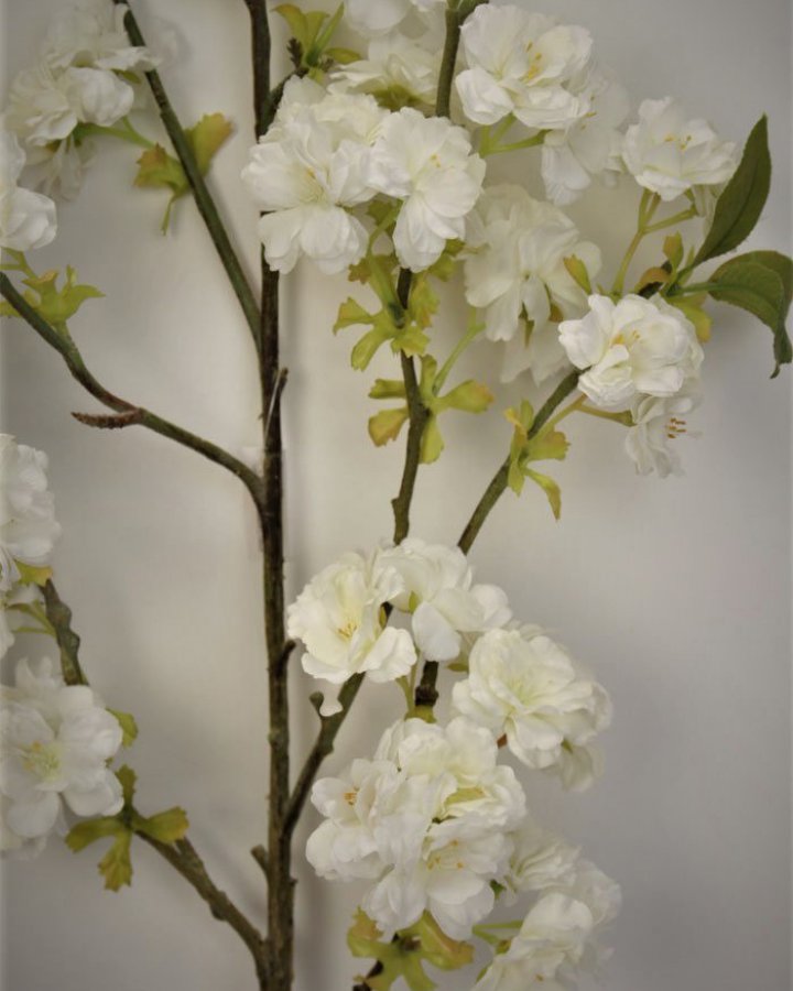 Сакура "Кванзан" для интерьерного декора