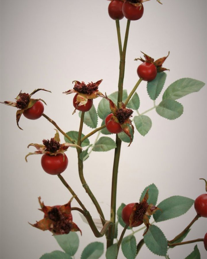 Шиповник для декора интерьера