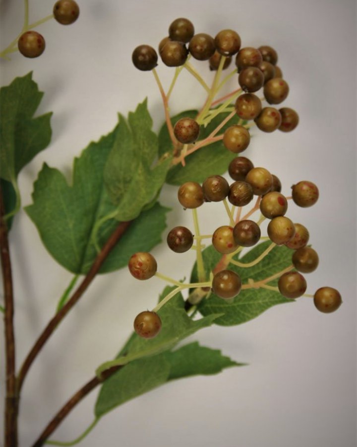 Ягоды калины для декора интерьера