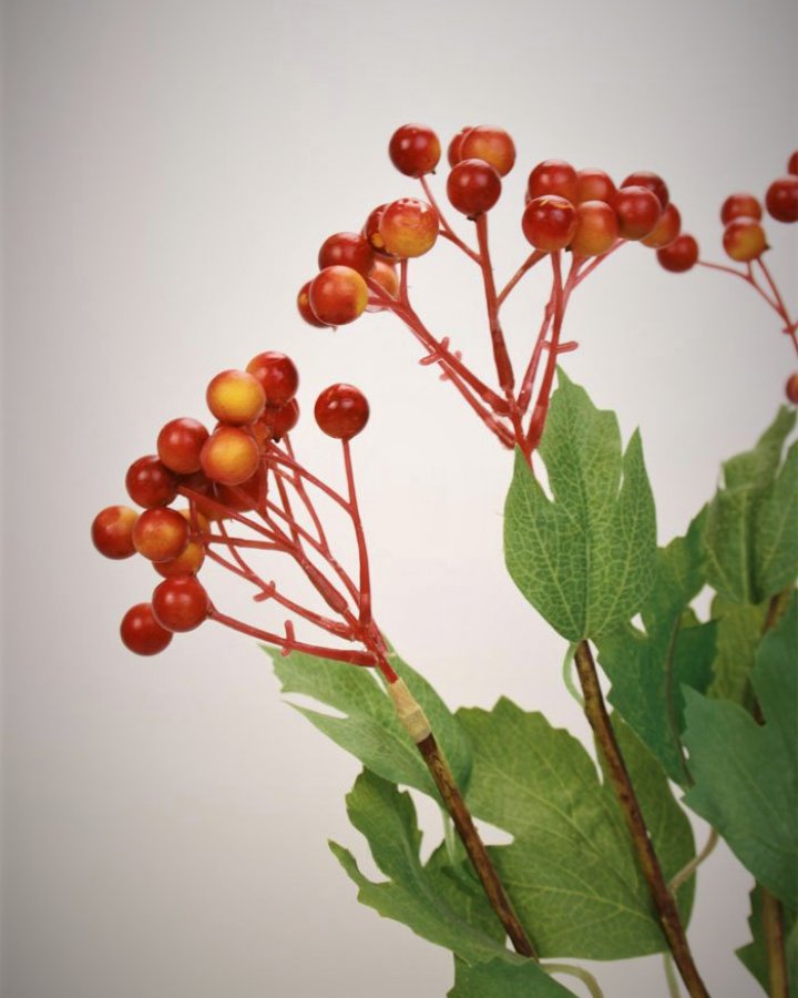 Ягоды калины для интерьерного декора