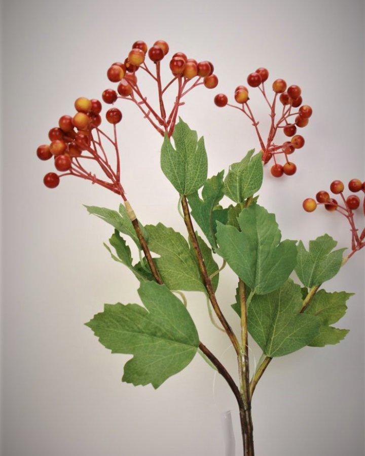 Ягоды калины для интерьерного декора