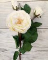 Роза спрей с двумя бутонами 