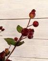 Ветка с райскими яблоками для декора интерьера