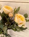 Роза Регина для декора интерьера