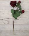 Роза спрей с двумя бутонами