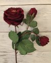 Роза спрей с двумя бутонами